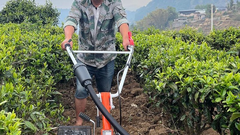 脱粒机噪音如何降低？选对才是关键**